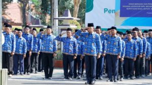 Kendala CPNS dan ASN Strategi Hadapi Persaingan dan Tes Sulit